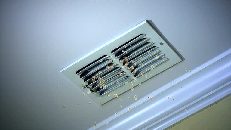 Best Air Duct Cleaning Company Near Me  in Bemidji, MN