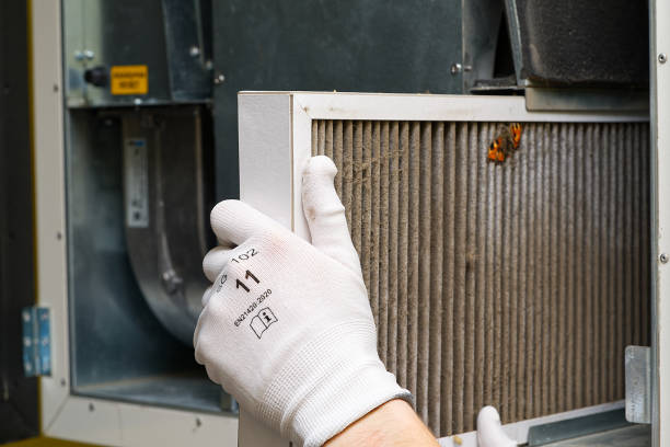 Best Air Duct Cleaning Near Me  in Bemidji, MN