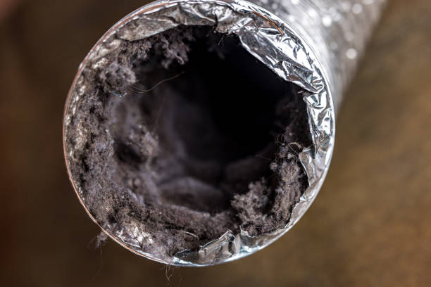 Best Affordable Duct Cleaning Services  in Bemidji, MN