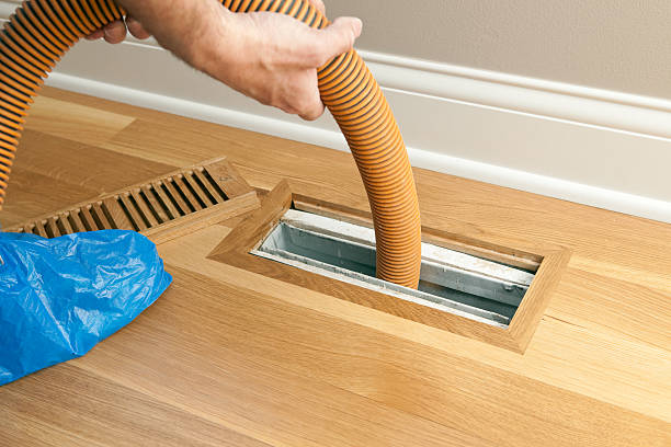 Best Affordable HVAC Duct Cleaning  in Bemidji, MN