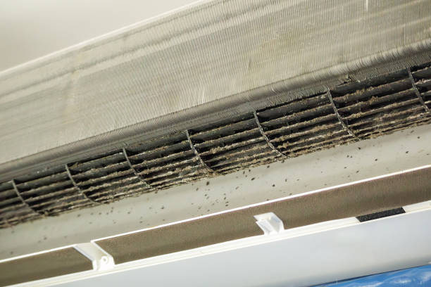 Best Best Air Duct Cleaning Company  in Bemidji, MN