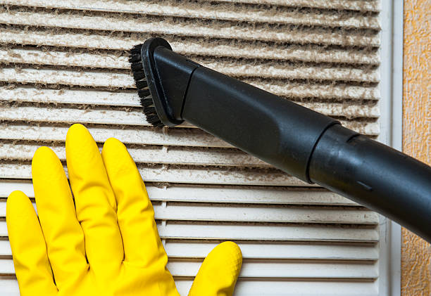 Best Ventilation Cleaning Services  in Bemidji, MN