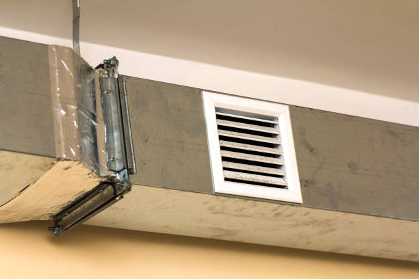 Best Air Duct Inspection  in Bemidji, MN